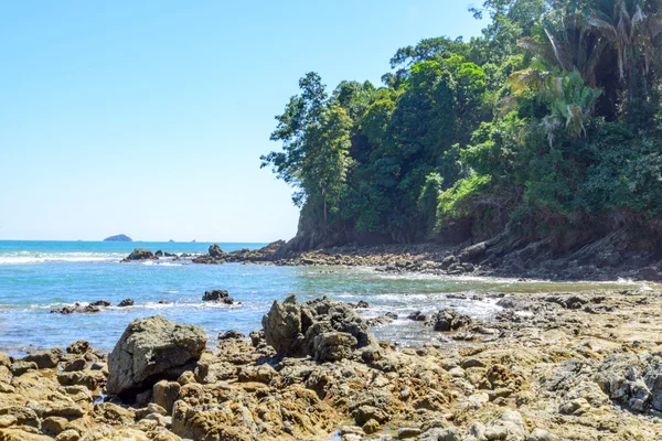 Wybrzeże Oceanu Kostaryce Obrazy Stockowe bez tantiem