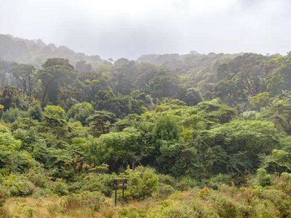 Krajobraz Kostaryki Lecie Zdjęcie Stockowe