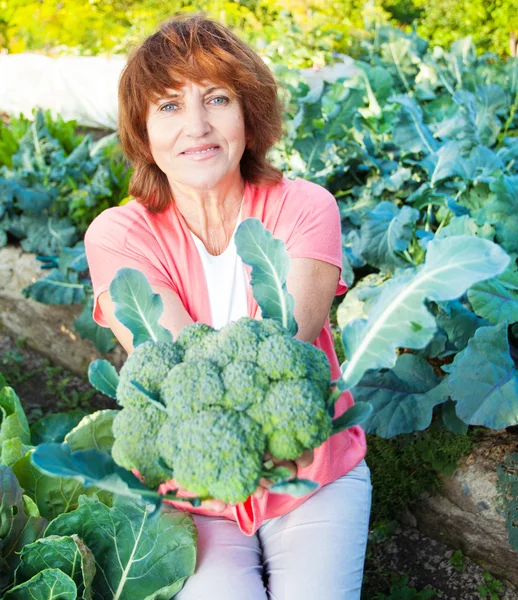 Vrouw groeit oogst in de tuin — Stockfoto