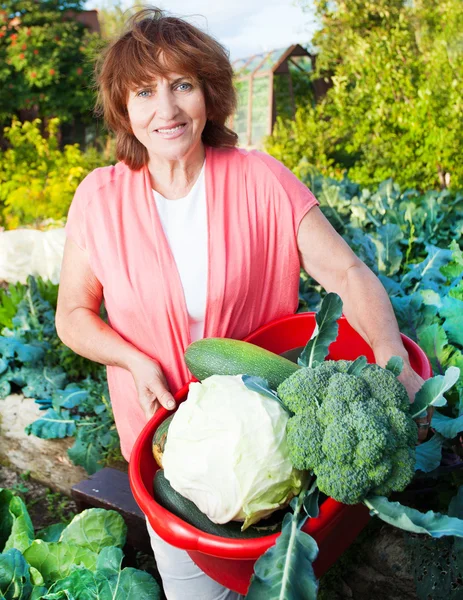 Vrouw groeit oogst in de tuin — Stockfoto