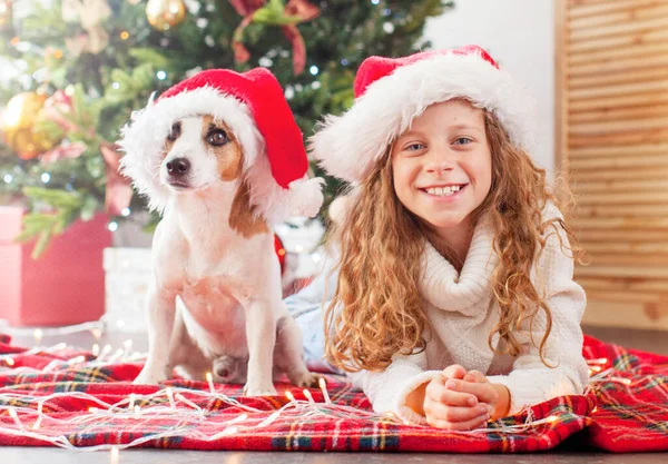 Kind met hond bij kerstboom — Stockfoto