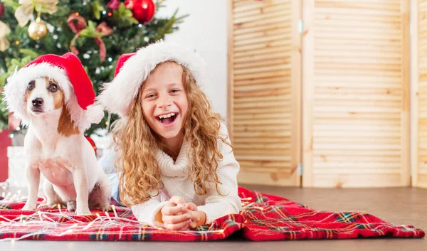 Kind met hond bij kerstboom — Stockfoto