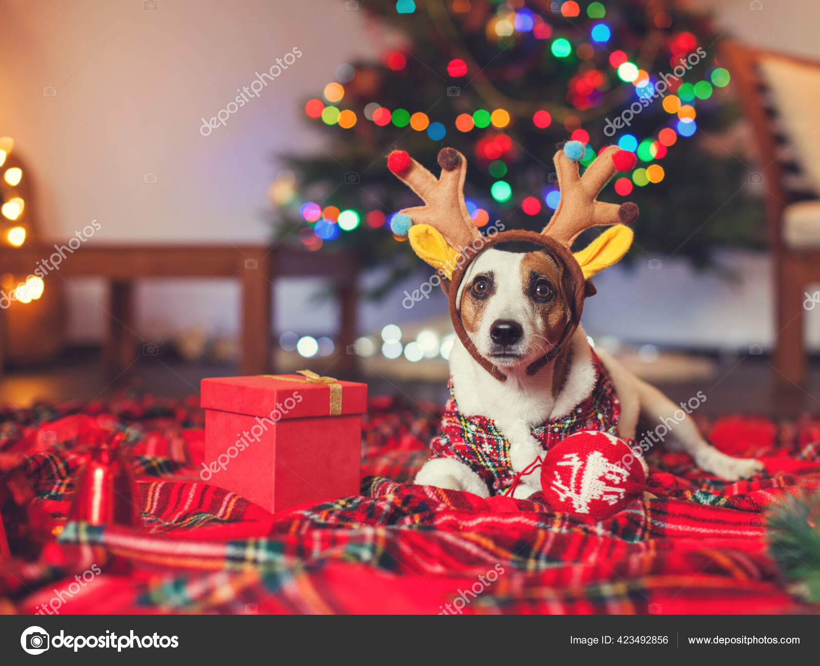 Dog under a christmas tree — Stock Photo © TatyanaGl #423492856