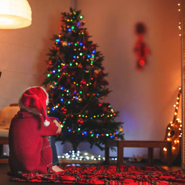Το κορίτσι κάθεται με την πλάτη της και κοιτάζει το χριστουγεννιάτικο δέντρο — Φωτογραφία Αρχείου