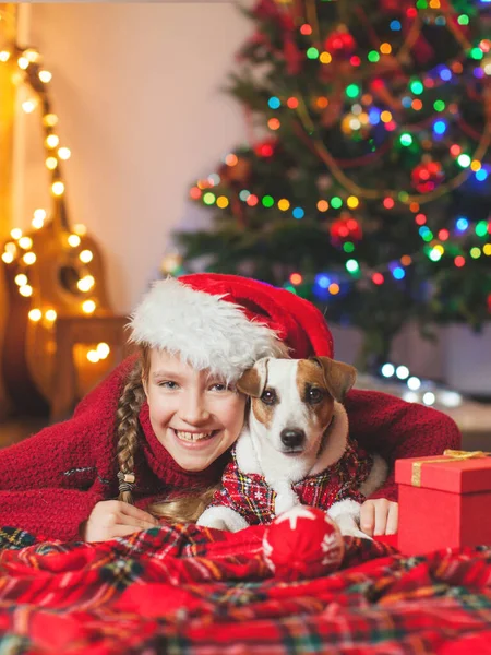 Leende flicka med hund nära julgran hemma — Stockfoto