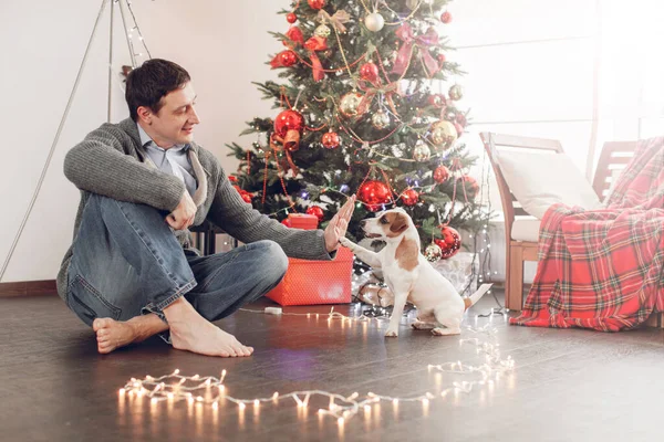 Homme avec chien près de l'arbre de Noël — Photo