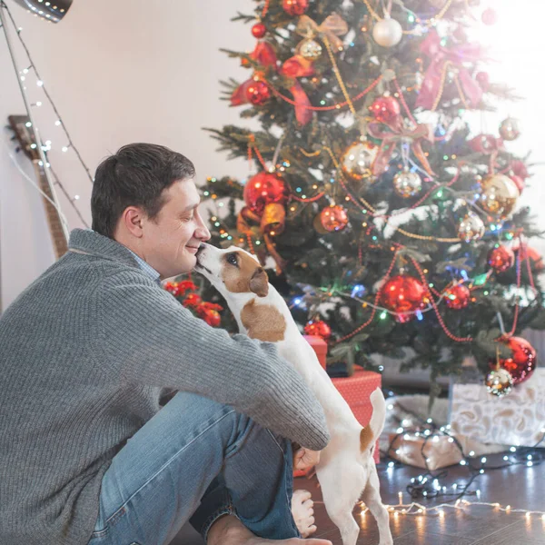 Mann mit Hund in der Nähe von Weihnachtsbaum — Stockfoto