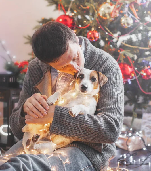 Hombre con perro cerca del árbol de Navidad — Foto de Stock