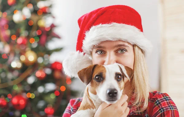 Glückliche Frau mit Hund in Weihnachtsdekoration — Stockfoto