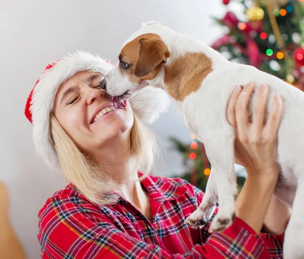 Happy woman with dog in christmas decoration Stock Photo