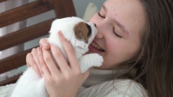 Girl petting and playing with a small puppy — Stock Video