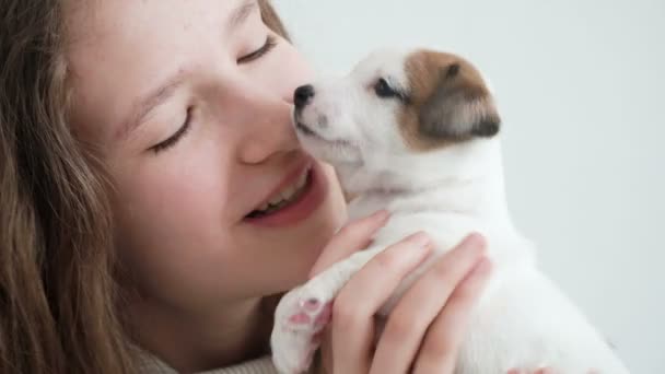 Ragazza accarezzando e giocando con un piccolo cucciolo — Video Stock