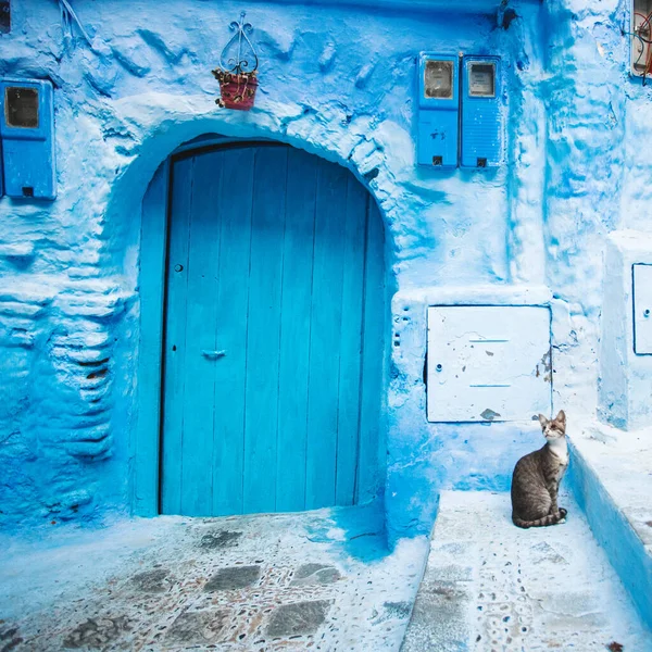 Chefchaouen Ville Bleue Maroc Belle Rue Médina Bleue Afrique — Photo