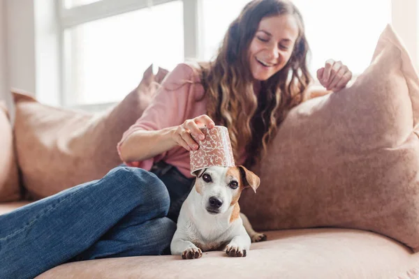 自宅でソファの上に楽しい犬と幸せな女性 ソファの上にペットと女性 — ストック写真