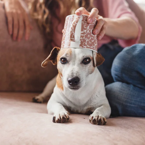 Happy Woman Fun Dog Couch Home Couch Home Female Pet — Stockfoto