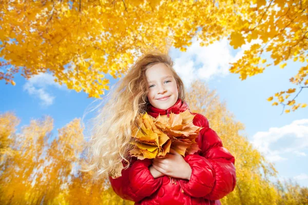 Девушка Осенью Ребенок Листьями Парке — стоковое фото