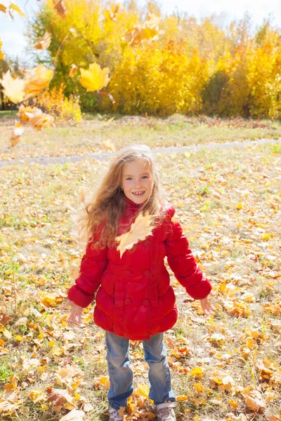 Fille Automne Enfant Avec Feuille Parc — Photo