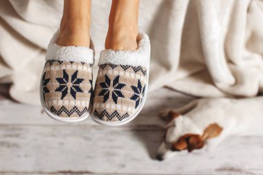 Terlik bir ahşap zemin çerçevede kadın bacaklar. Rahat, sıcak ve rahat terlik ayakları üzerinde