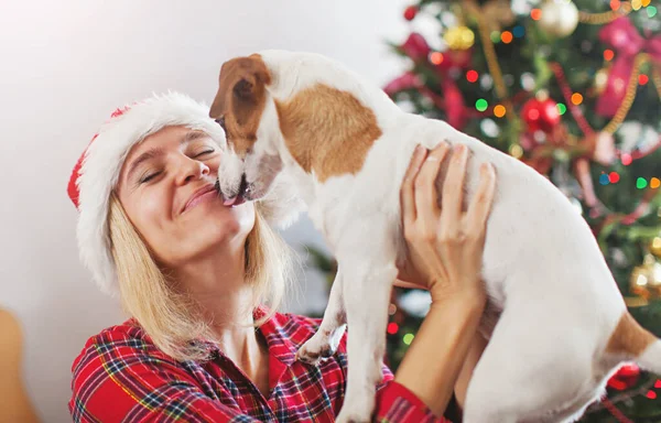 Glückliche Frau Mit Hund Weihnachtsdekoration Hündin Mit Haustier Hause — Stockfoto