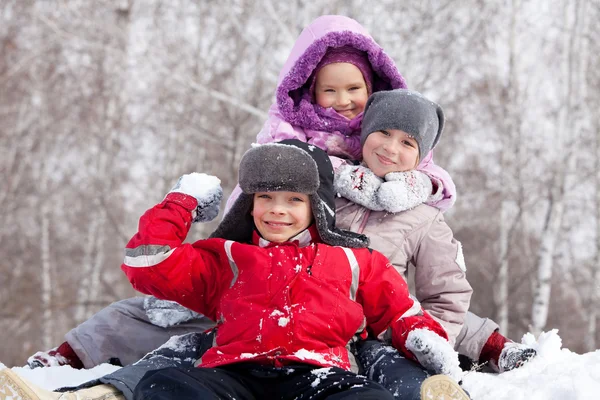 Niños felices en el parque de invierno —  Fotos de Stock