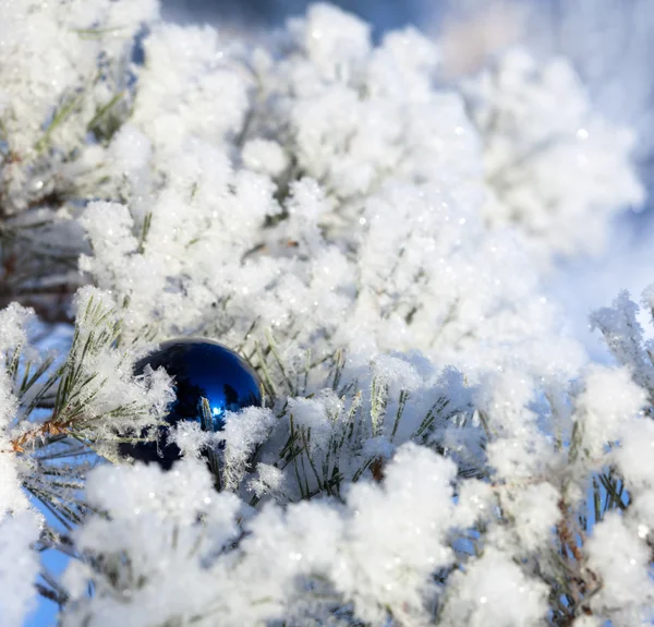 Joulun talvi tausta — kuvapankkivalokuva