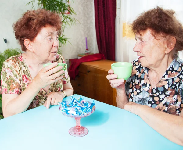 Due anziani bevono tè — Foto Stock