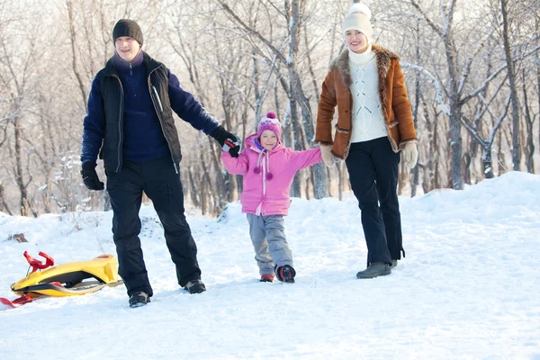 家族冬公園を歩く — ストック写真