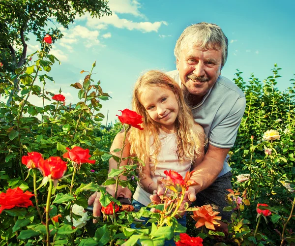 Hombre con niño cuidando rosas en el jardín — Foto de Stock