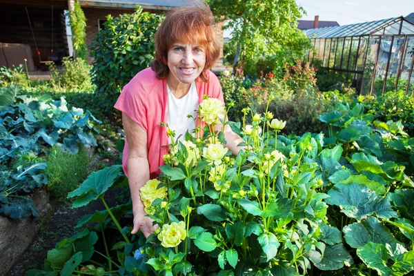 Женщина в саду ухаживает за цветами — стоковое фото