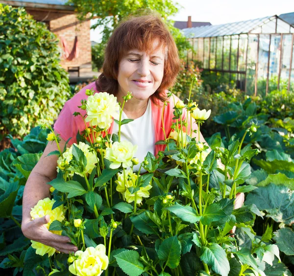 Woman in the garden cares for flowers — Stock Photo, Image