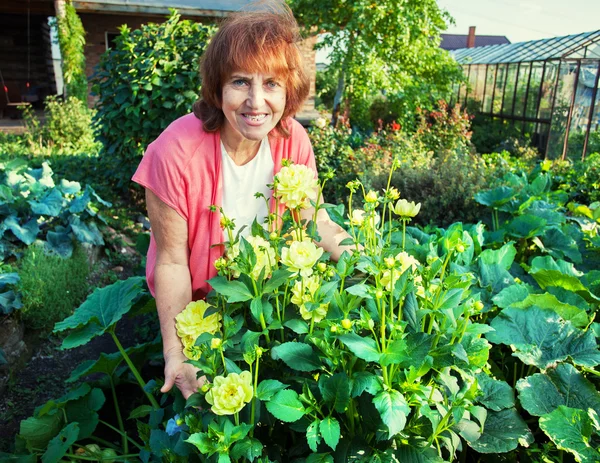 Woman in the garden cares for flowers — Stock Photo, Image