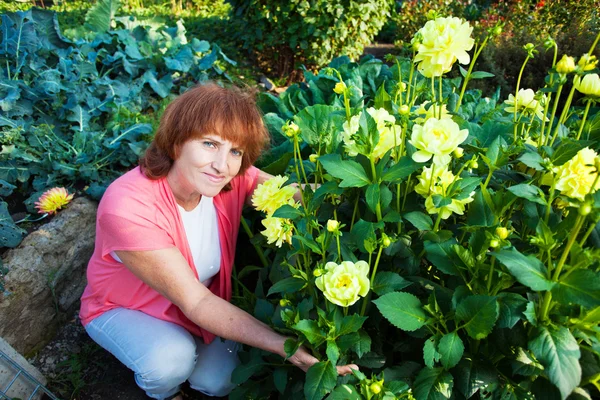 Kvinna i trädgården bryr sig för blommor — Stockfoto