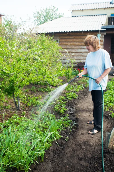 Woman watering garden beds — Stock Photo, Image