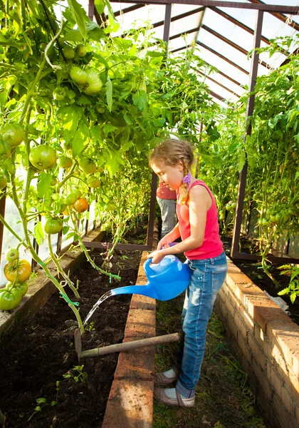 Chica regando el jardín — Foto de Stock