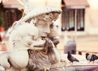 Navona Meydanı