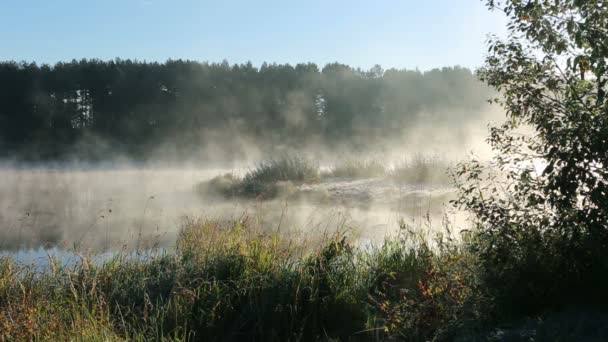 Dampende rivier time-lapse in de natuur — Stockvideo