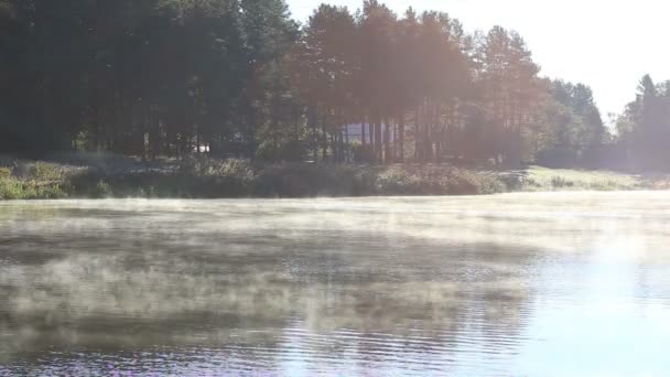 Vapeur rivière time-lapse dans la nature — Video