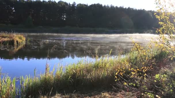 Ångande floden i naturen — Stockvideo