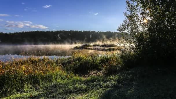 Time-lapse av stjärnorna på natten med månen — Stockvideo