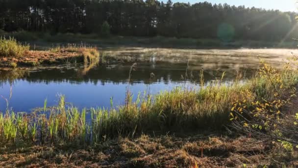 Парове перекриття річки в природі — стокове відео