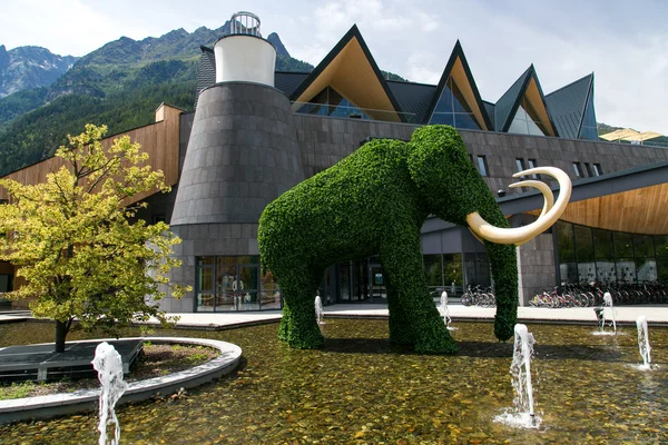 Cespuglio a forma di elefante — Foto Stock