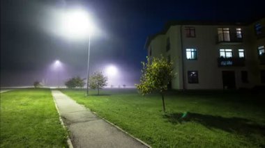 Dişbudak sis ile gece