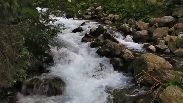 チロル、オーストリアの Stuiben 滝 — ストック動画