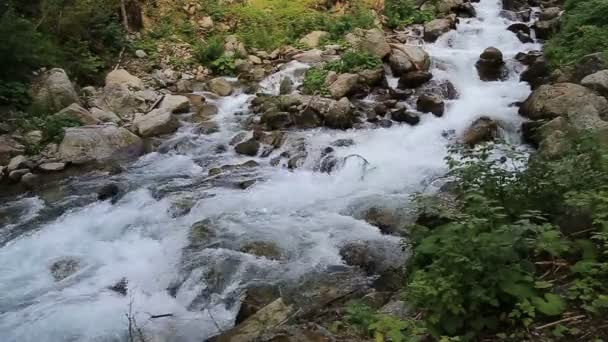 Stuiben Wasserfall in Tirol, Österreich — Stockvideo