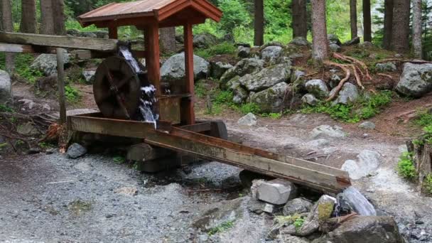 Roda de cachoeira perto da cachoeira Stuiben — Vídeo de Stock