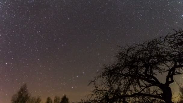 Ночью с полюсной звездой — стоковое видео
