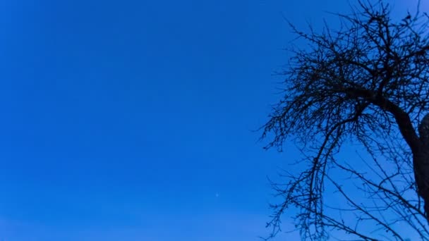 Timelapse en la noche con estrellas — Vídeos de Stock