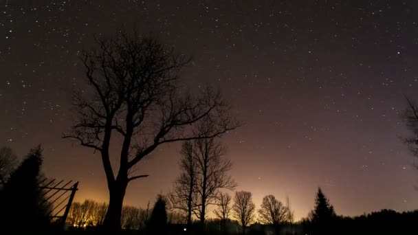 Timelapse en la noche con estrellas — Vídeo de stock