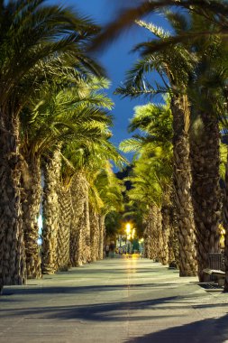 Akşam palmiye sokak