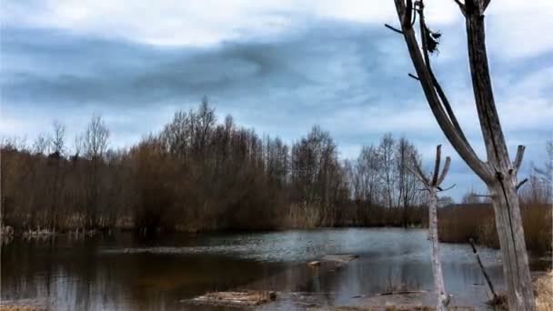 Estanque con nubes en ejecución 4k slider — Vídeo de stock